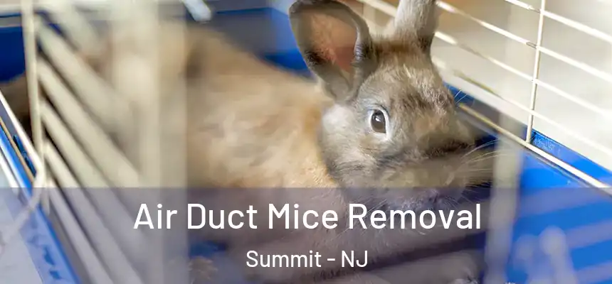  Air Duct Mice Removal Summit - NJ