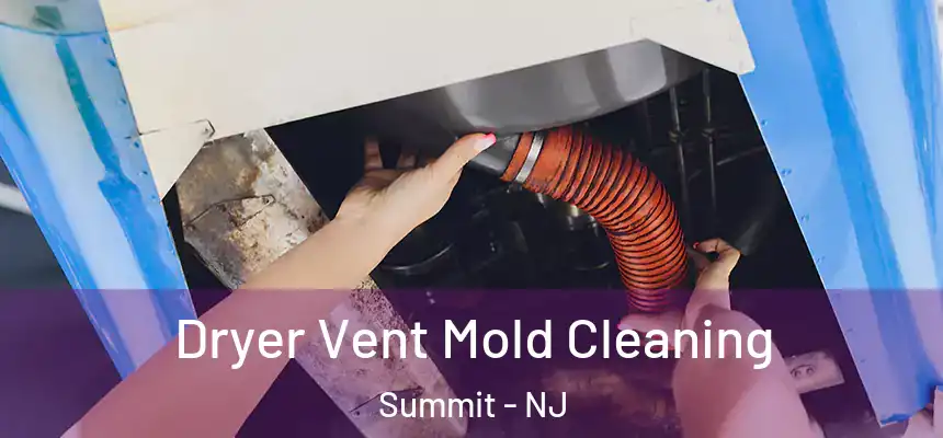  Dryer Vent Mold Cleaning Summit - NJ