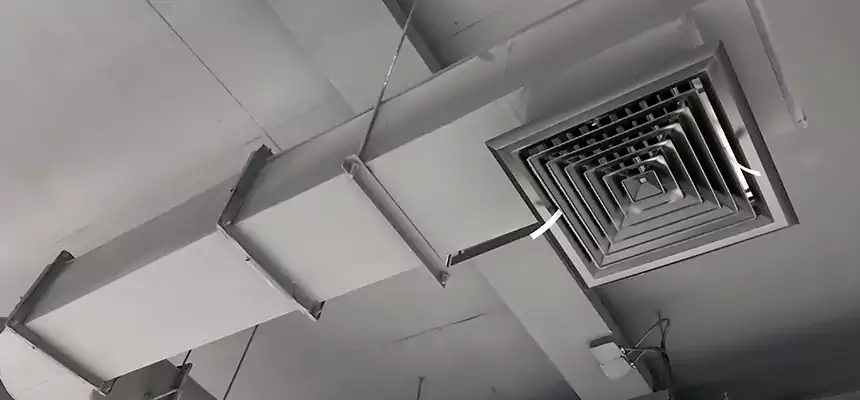 Our Pest Removal From Ducts Services in Summit, NJ