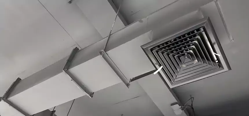 Our Rodent Droppings In Vents Services in Summit, NJ