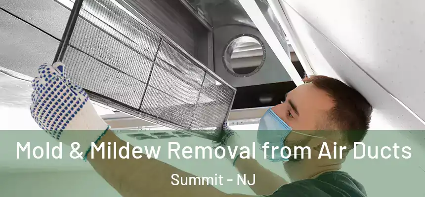  Mold & Mildew Removal from Air Ducts Summit - NJ
