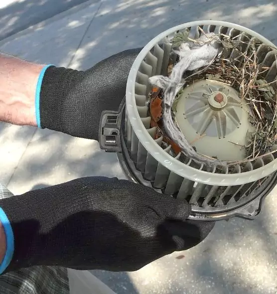 About Air Duct Mice Removal in Summit, NJ