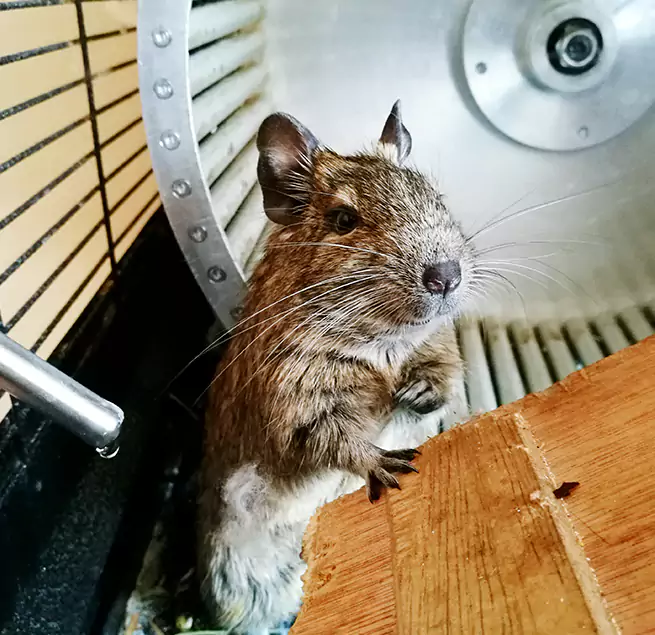 Why Homeowners & Businesses Trust Us Summit, NJ